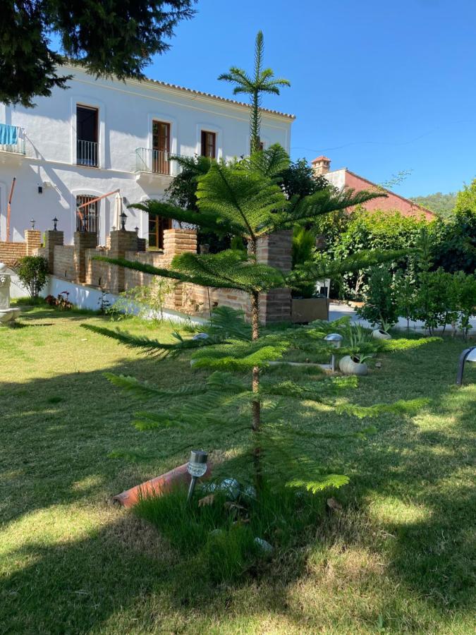 Hotel Luz Almonaster Almonaster la Real Dış mekan fotoğraf